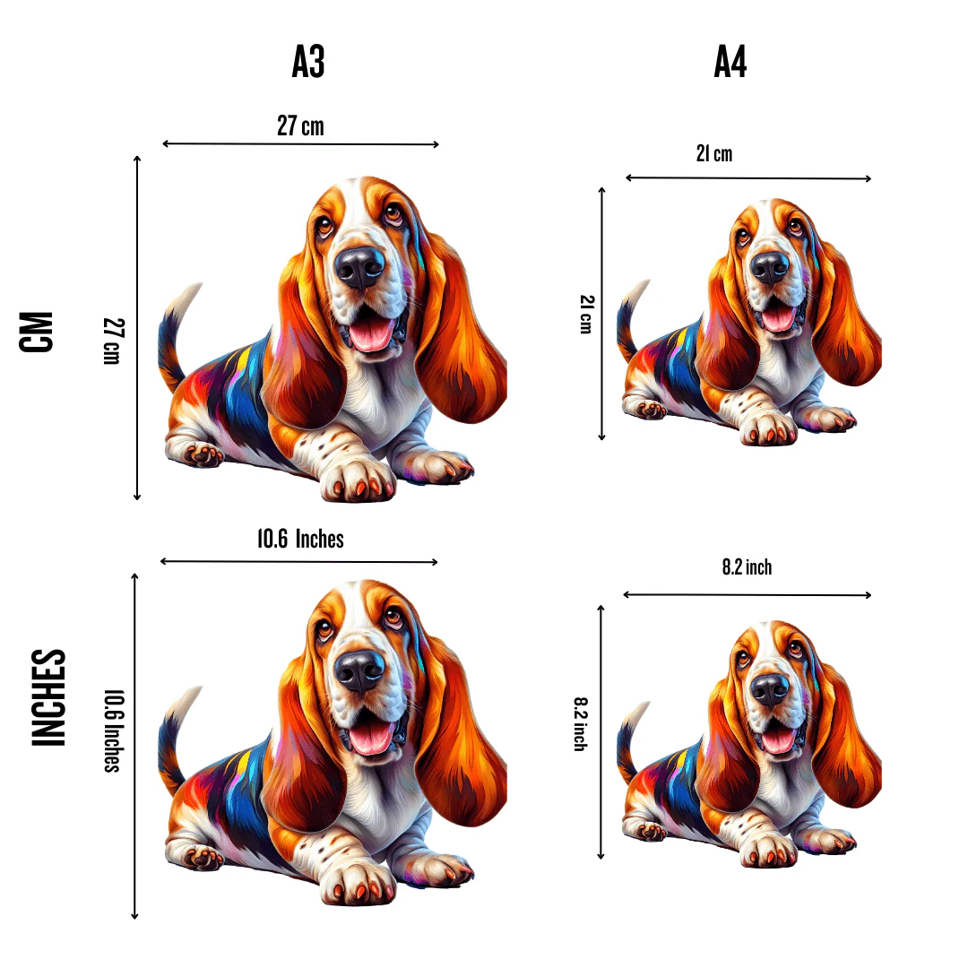 バセットハウンド犬 - ジグソーパズル - Image 2